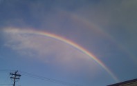 IMAG0340